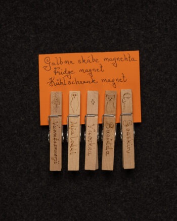 Kylskåpsmagnet 5-pack